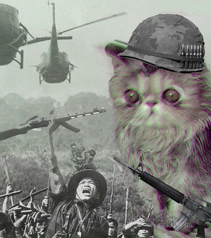 Vietnam meme. Кот вьетнамские флешбеки. Флэшбэк Вьетнам Мем.